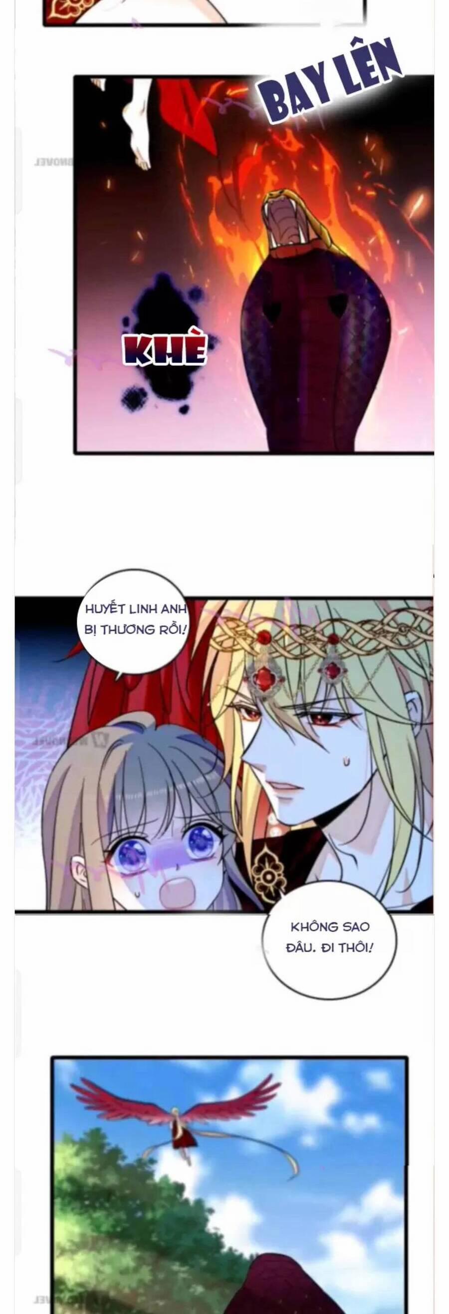 Phu Nhân , Thân Phận Thật Của Người Sắp Lộ Rồi 340 trang 11