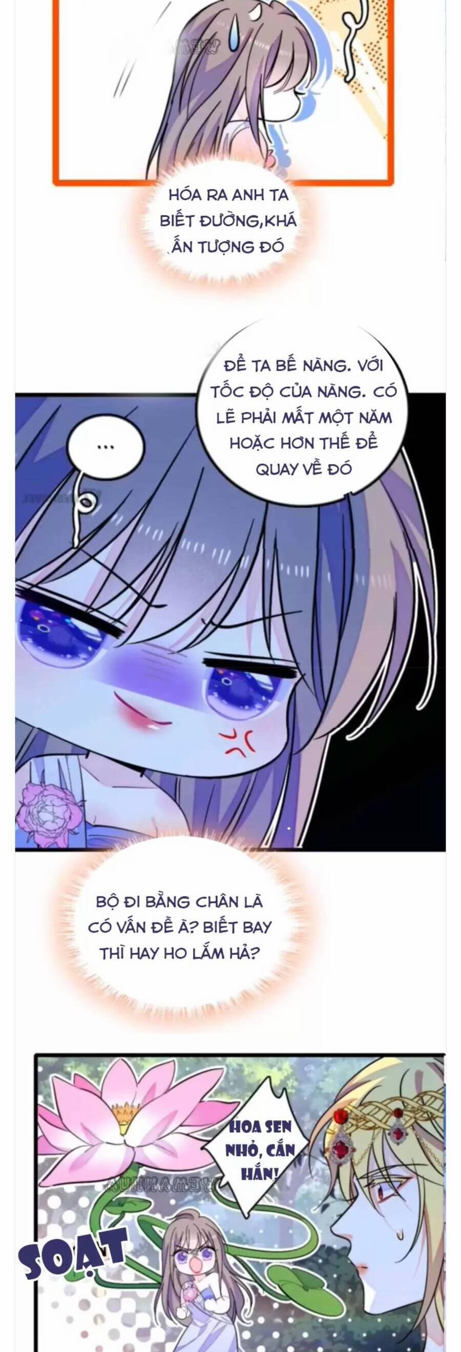 Phu Nhân , Thân Phận Thật Của Người Sắp Lộ Rồi 343 trang 2