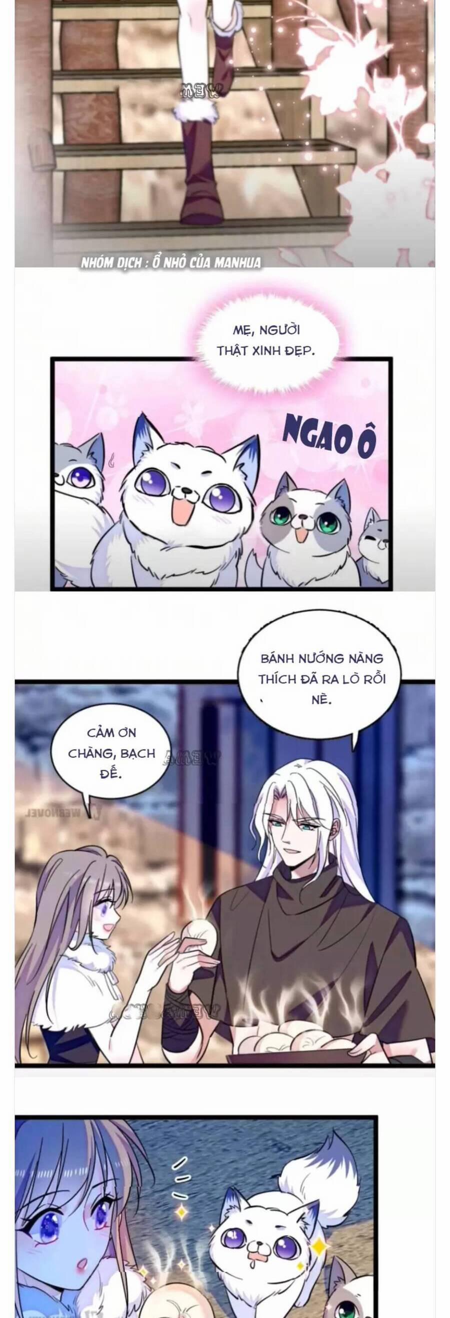 Phu Nhân , Thân Phận Thật Của Người Sắp Lộ Rồi 345 trang 1