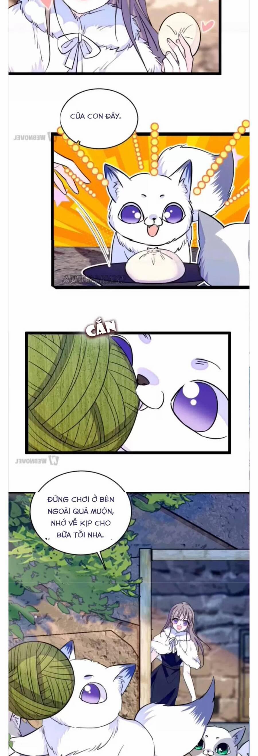 Phu Nhân , Thân Phận Thật Của Người Sắp Lộ Rồi 345 trang 3