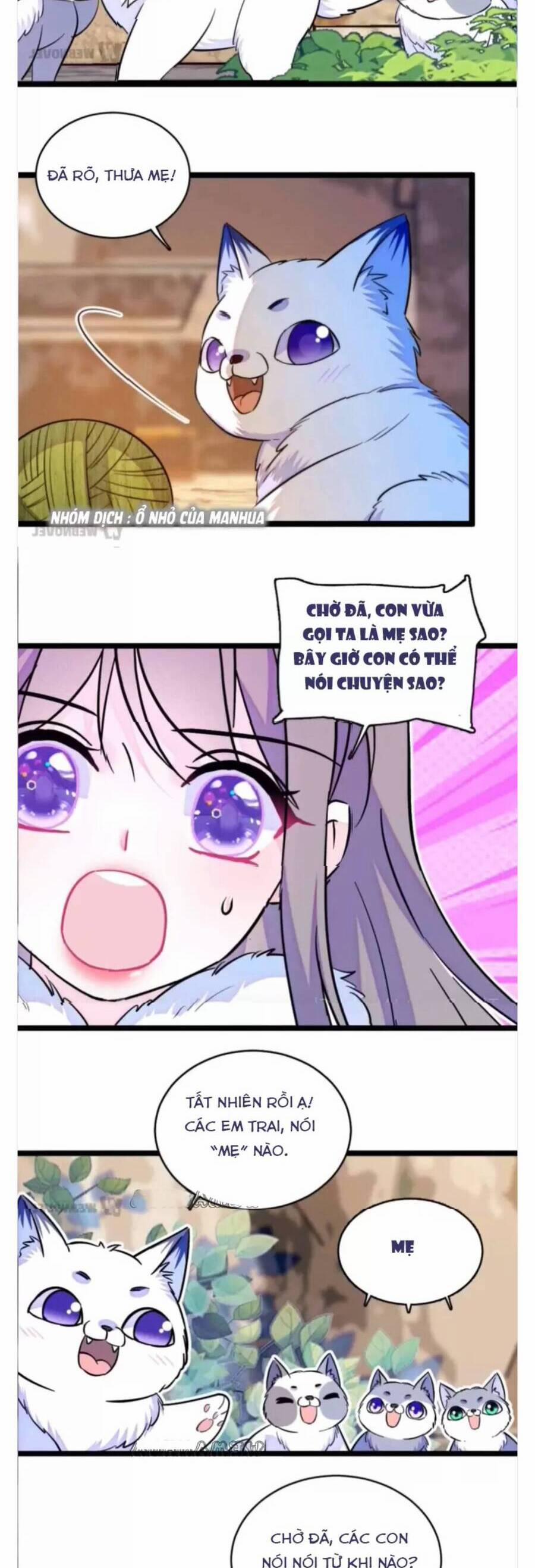 Phu Nhân , Thân Phận Thật Của Người Sắp Lộ Rồi 345 trang 4