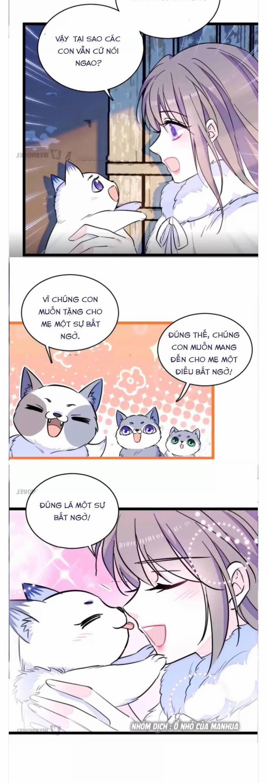 Phu Nhân , Thân Phận Thật Của Người Sắp Lộ Rồi 345 trang 5