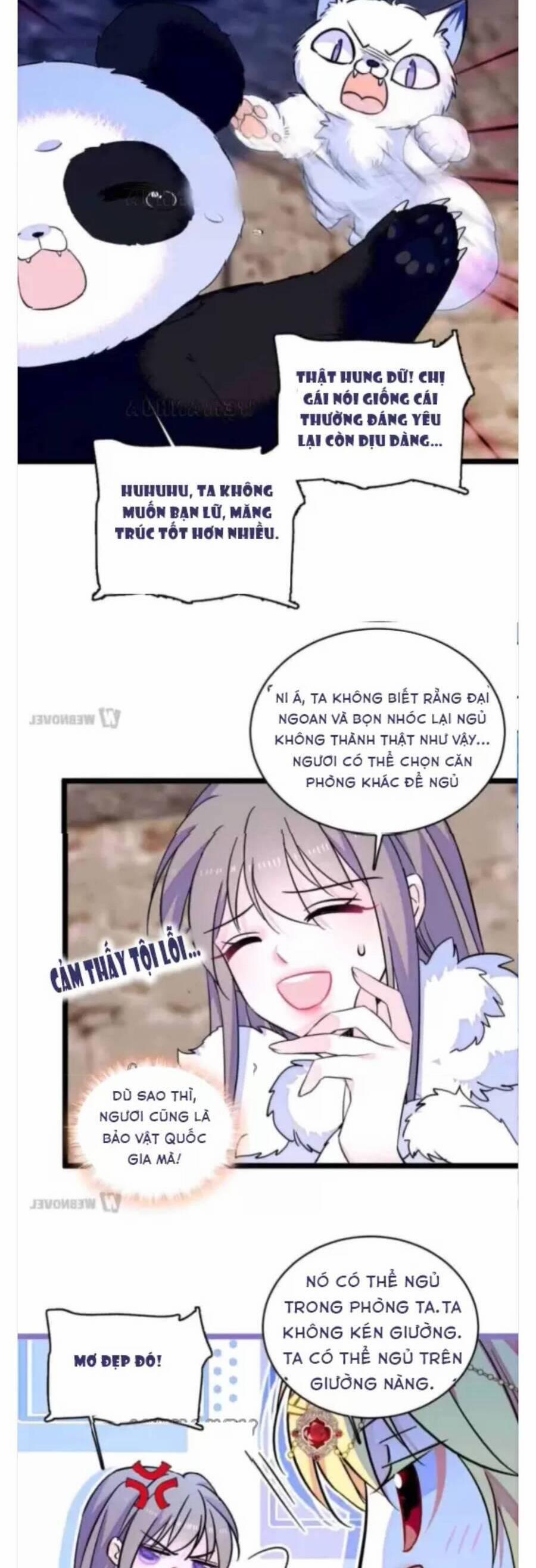 Phu Nhân , Thân Phận Thật Của Người Sắp Lộ Rồi 349 trang 5