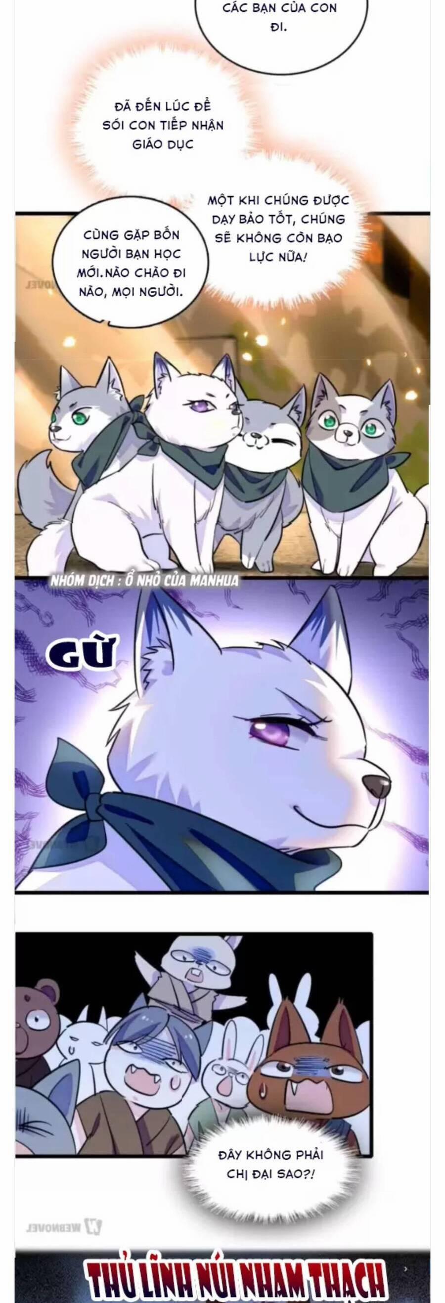 Phu Nhân , Thân Phận Thật Của Người Sắp Lộ Rồi 351 trang 3