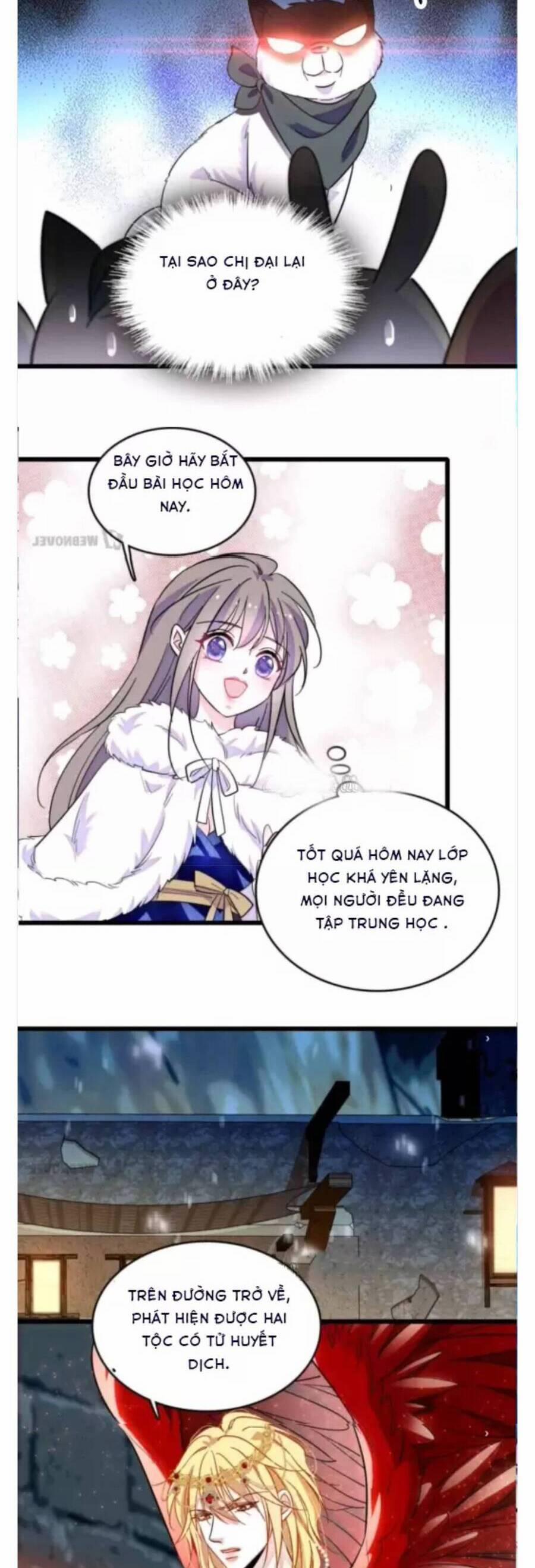 Phu Nhân , Thân Phận Thật Của Người Sắp Lộ Rồi 351 trang 4