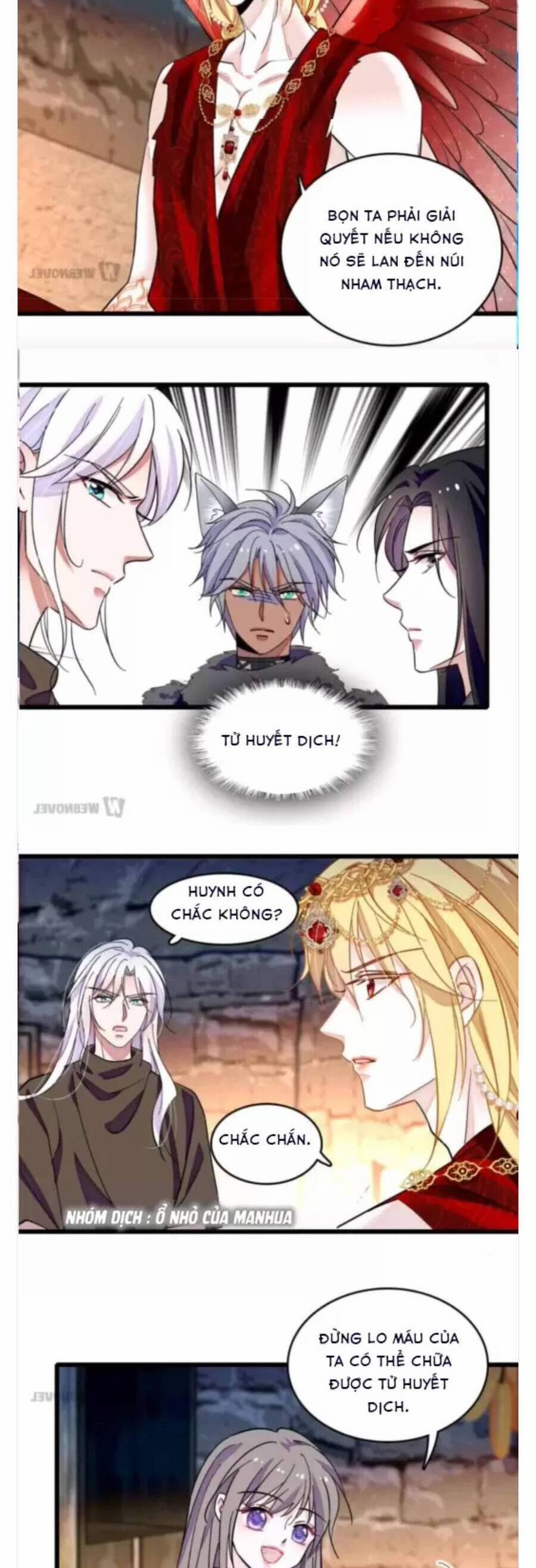 Phu Nhân , Thân Phận Thật Của Người Sắp Lộ Rồi 351 trang 5