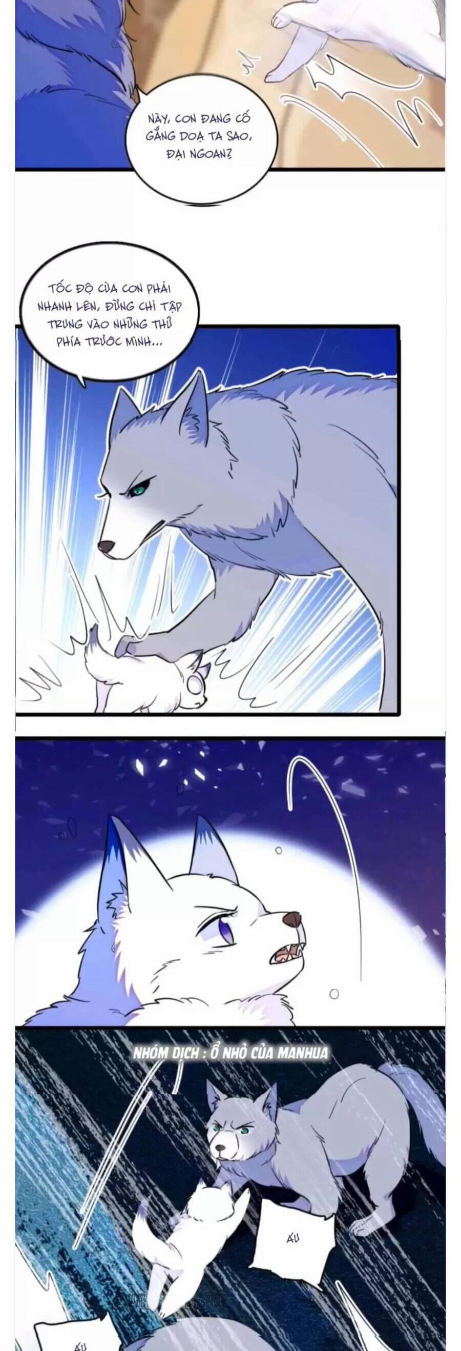 Phu Nhân , Thân Phận Thật Của Người Sắp Lộ Rồi 357 trang 4