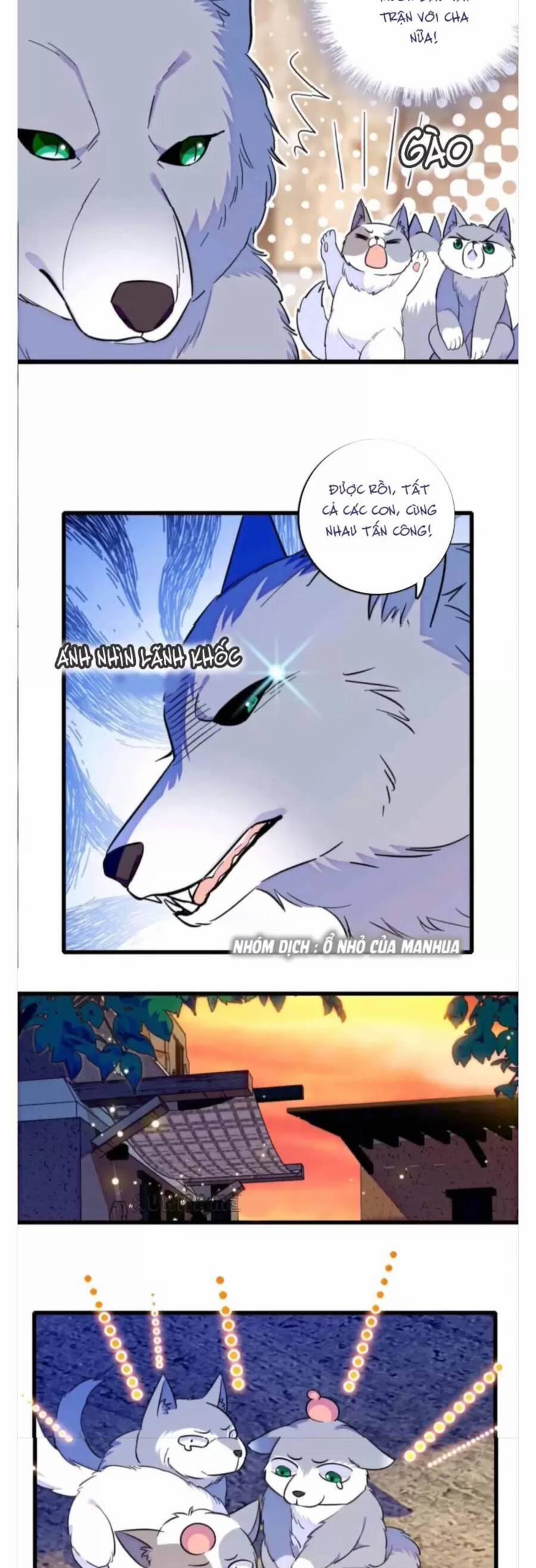 Phu Nhân , Thân Phận Thật Của Người Sắp Lộ Rồi 357 trang 6