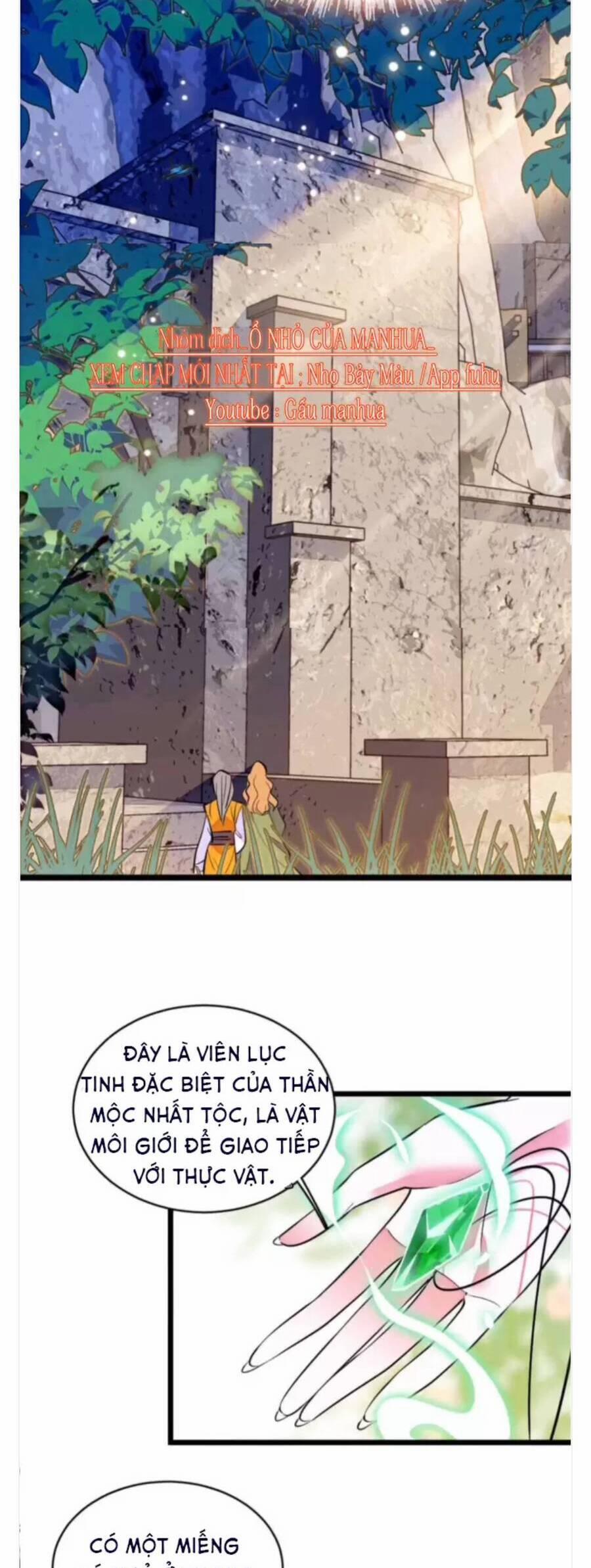 Phu Nhân , Thân Phận Thật Của Người Sắp Lộ Rồi 375 trang 13