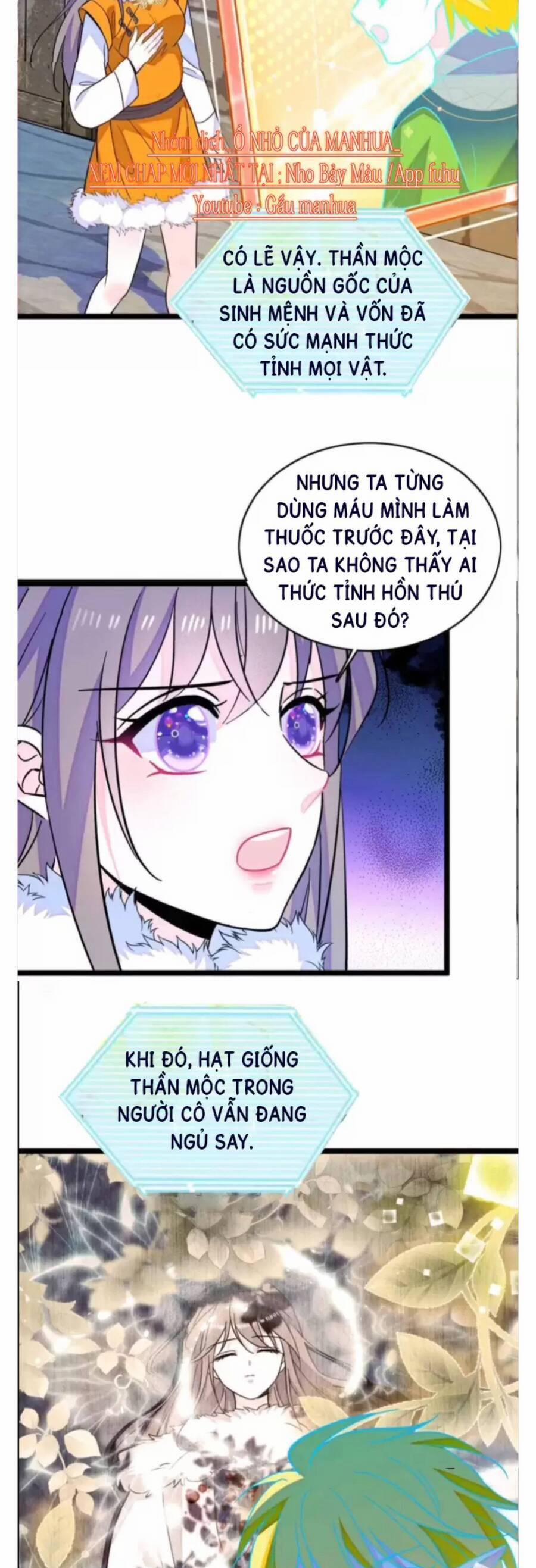 Phu Nhân , Thân Phận Thật Của Người Sắp Lộ Rồi 375 trang 6