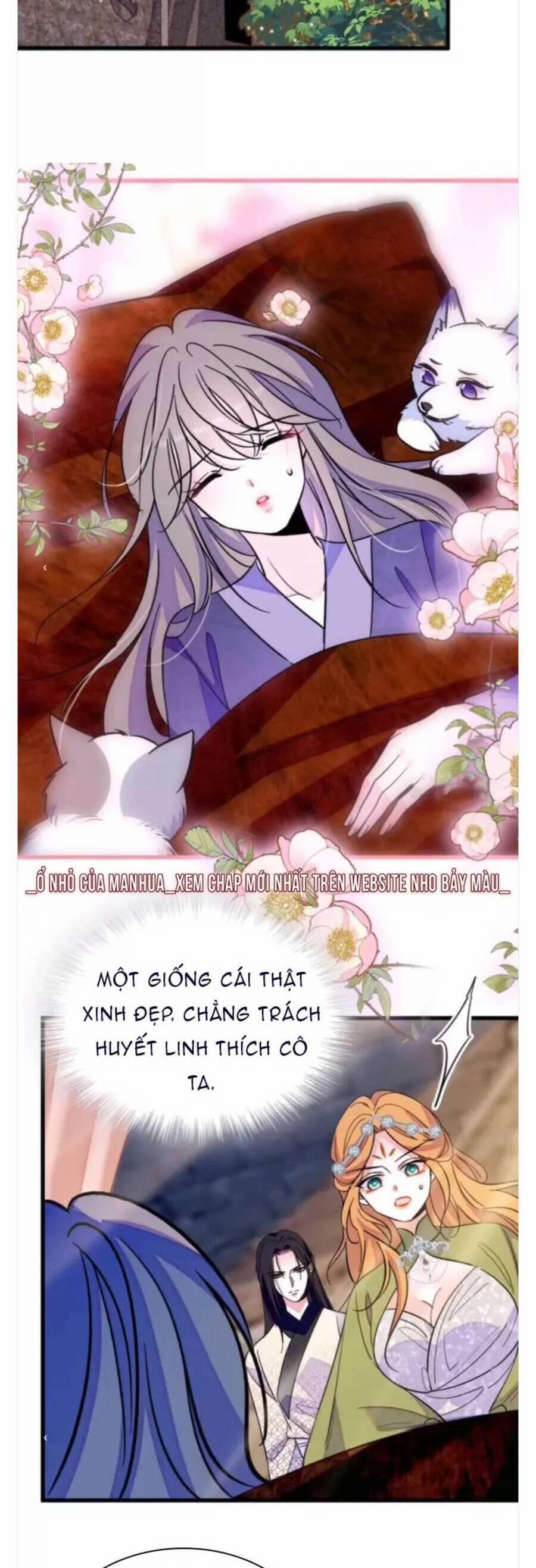 Phu Nhân , Thân Phận Thật Của Người Sắp Lộ Rồi 378 trang 8