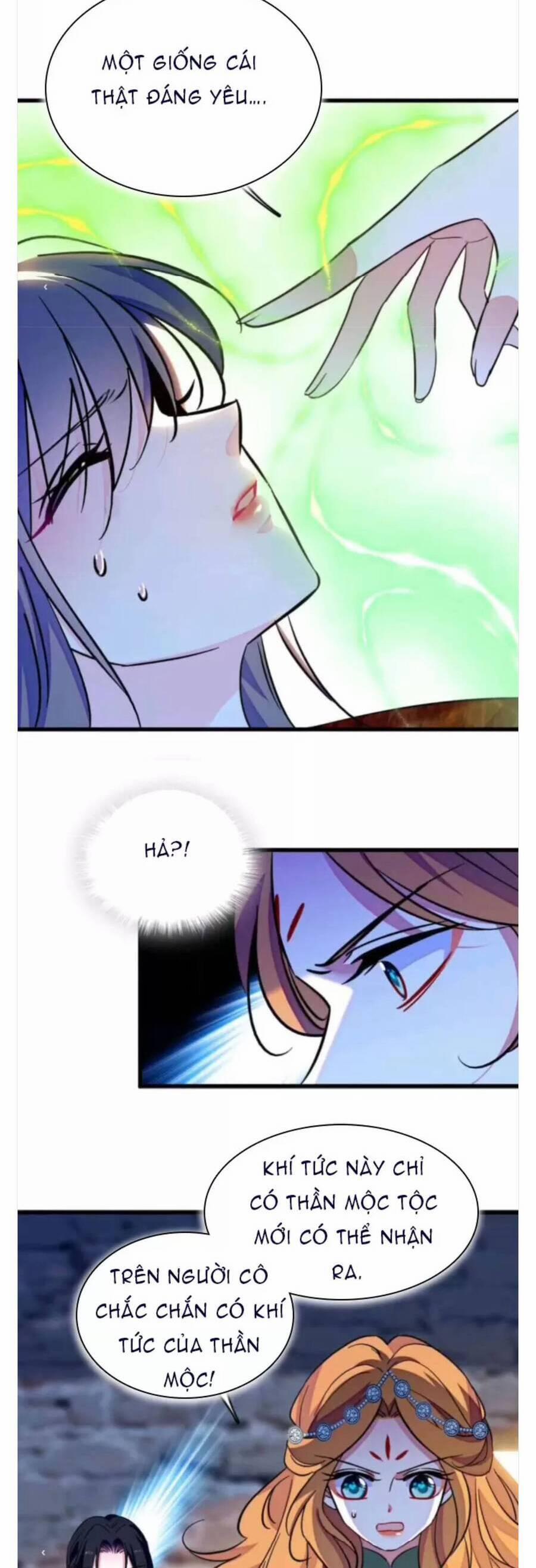 Phu Nhân , Thân Phận Thật Của Người Sắp Lộ Rồi 378 trang 9