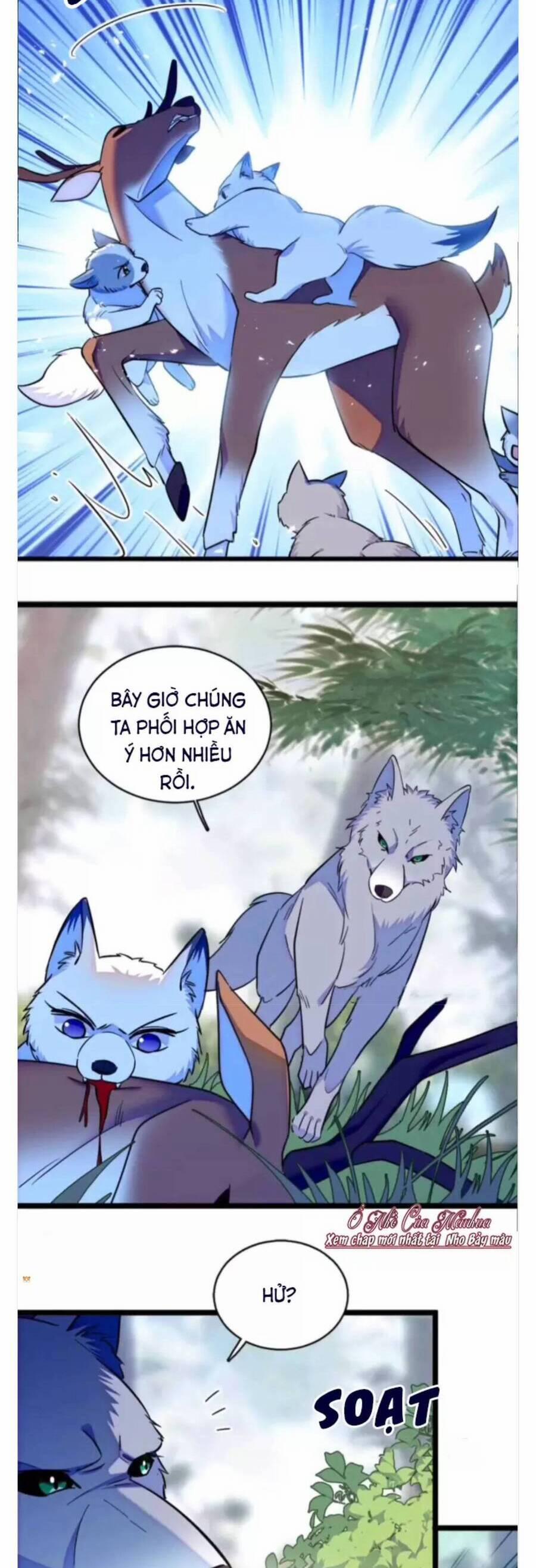 Phu Nhân , Thân Phận Thật Của Người Sắp Lộ Rồi 381 trang 2