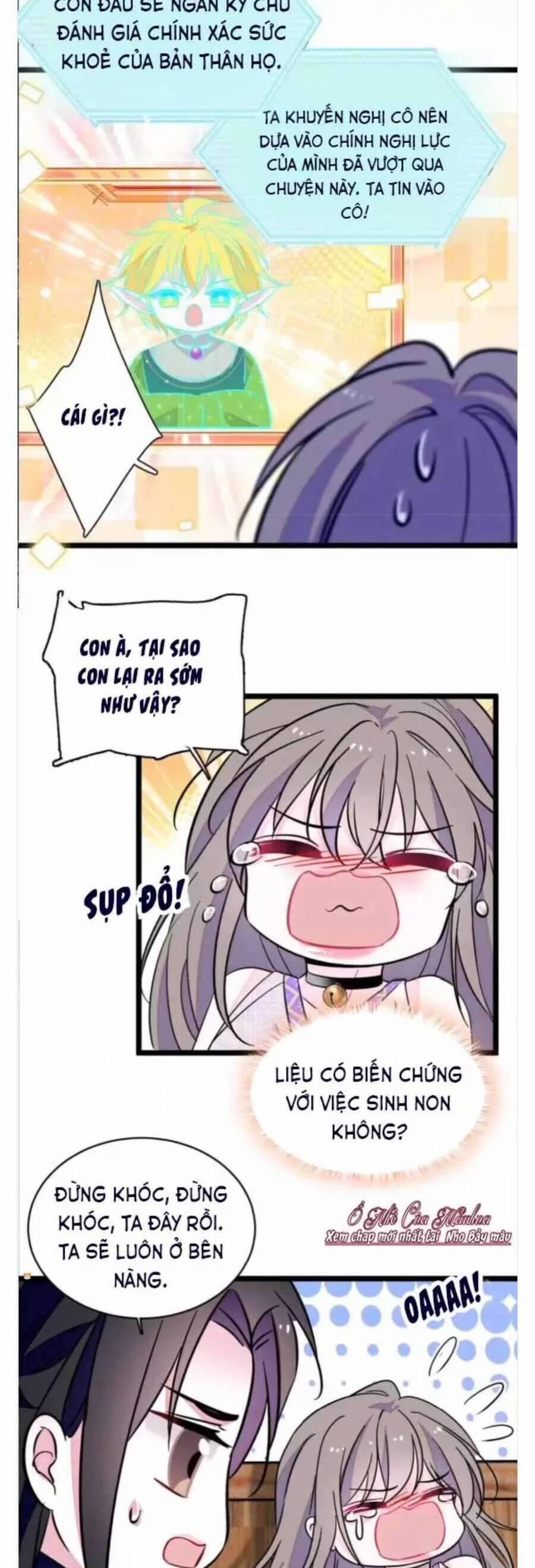 Phu Nhân , Thân Phận Thật Của Người Sắp Lộ Rồi 384 trang 1