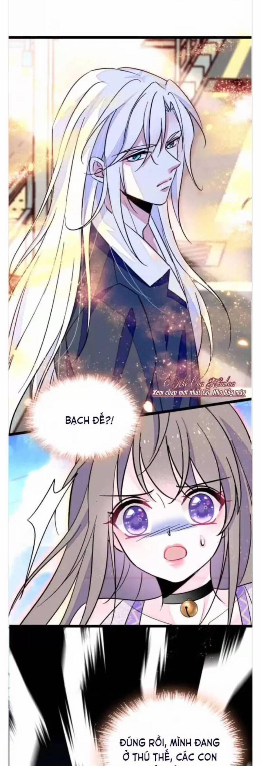 Phu Nhân , Thân Phận Thật Của Người Sắp Lộ Rồi 384 trang 10