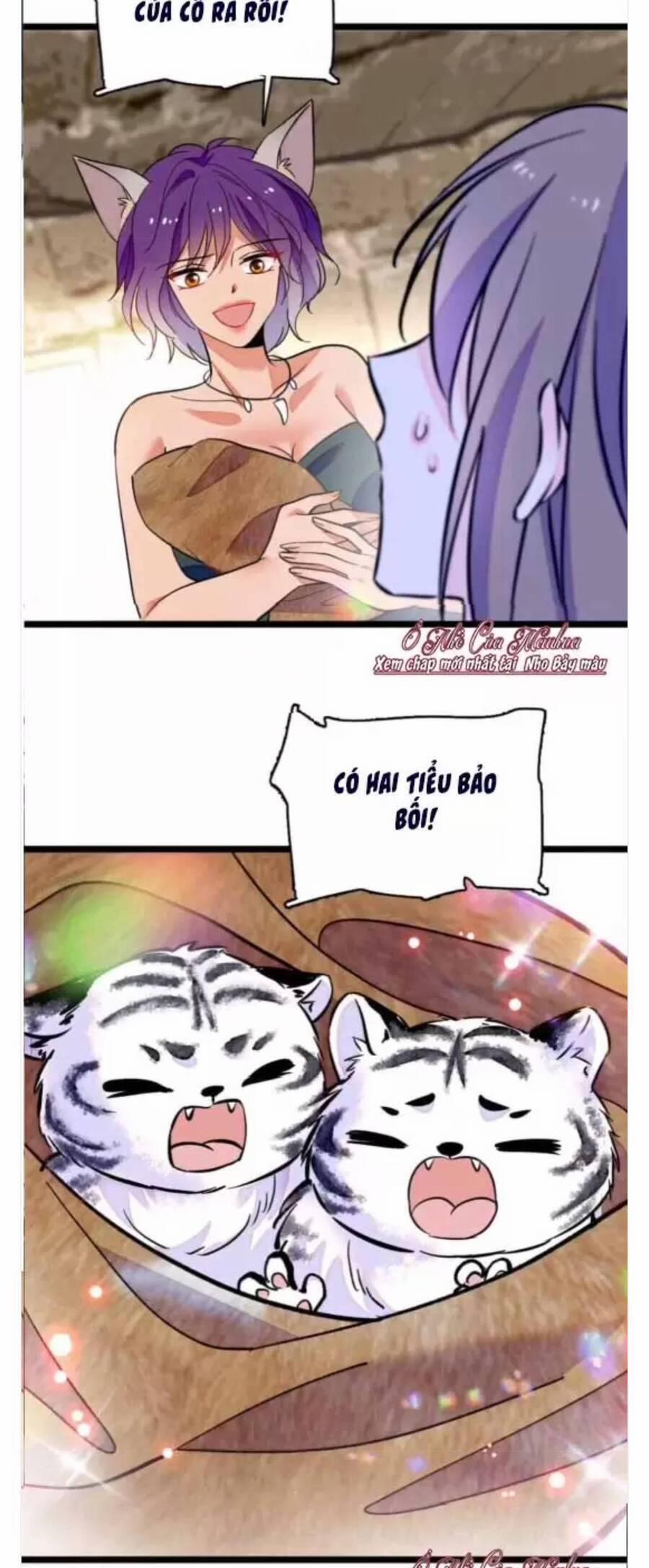 Phu Nhân , Thân Phận Thật Của Người Sắp Lộ Rồi 384 trang 12