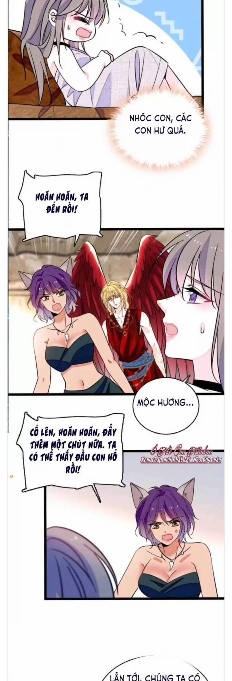 Phu Nhân , Thân Phận Thật Của Người Sắp Lộ Rồi 384 trang 6