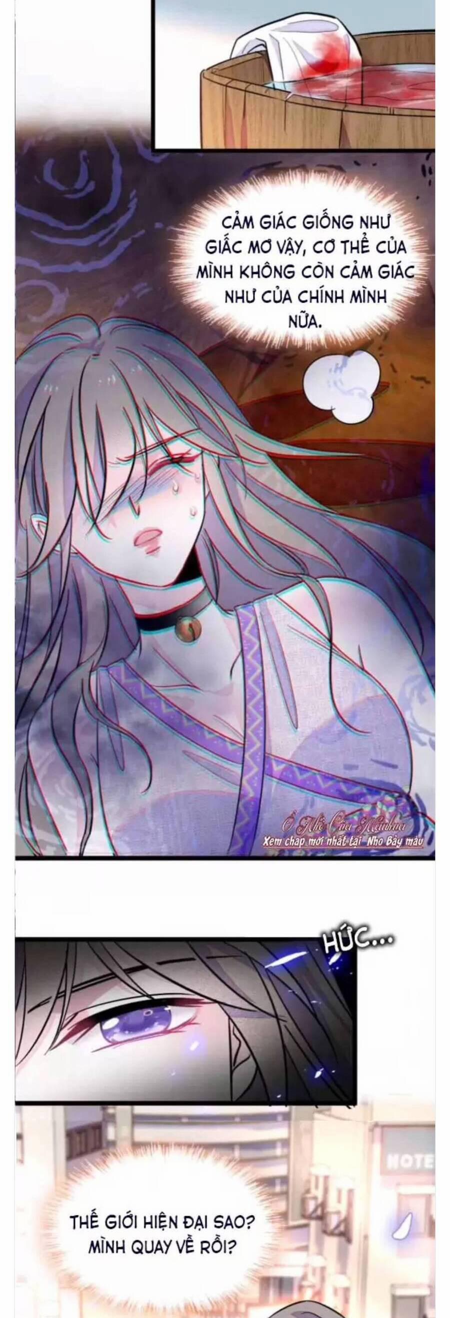 Phu Nhân , Thân Phận Thật Của Người Sắp Lộ Rồi 384 trang 8