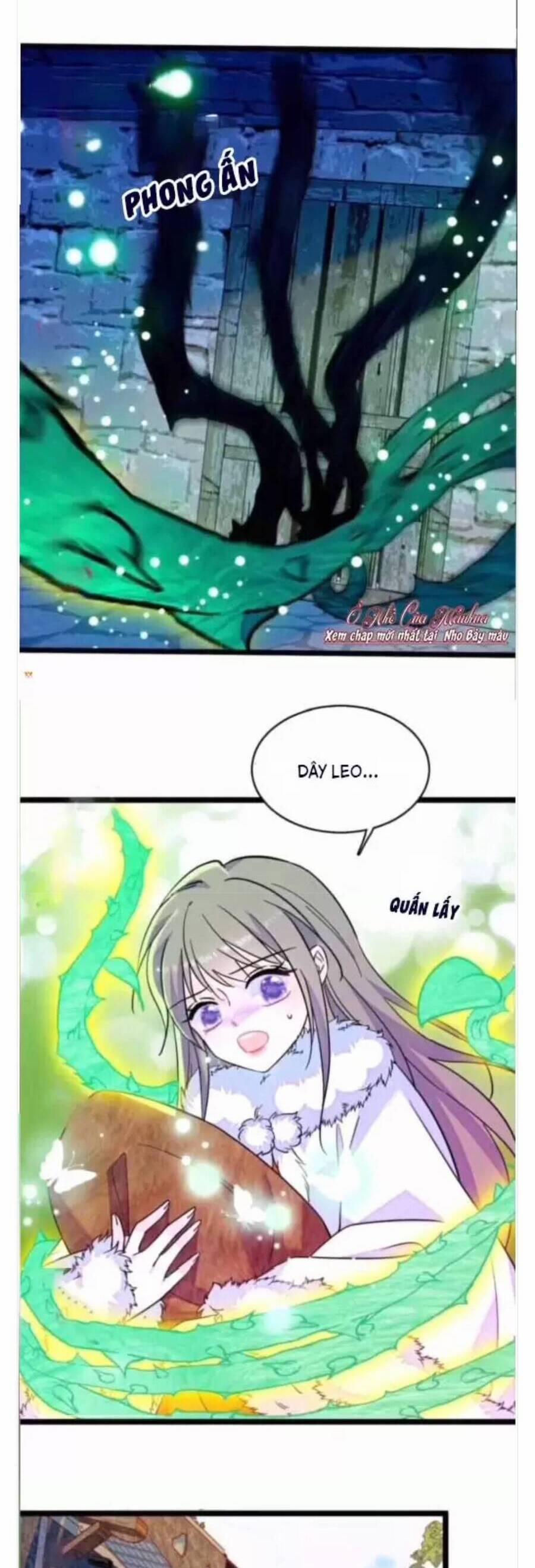 Phu Nhân , Thân Phận Thật Của Người Sắp Lộ Rồi 385 trang 10