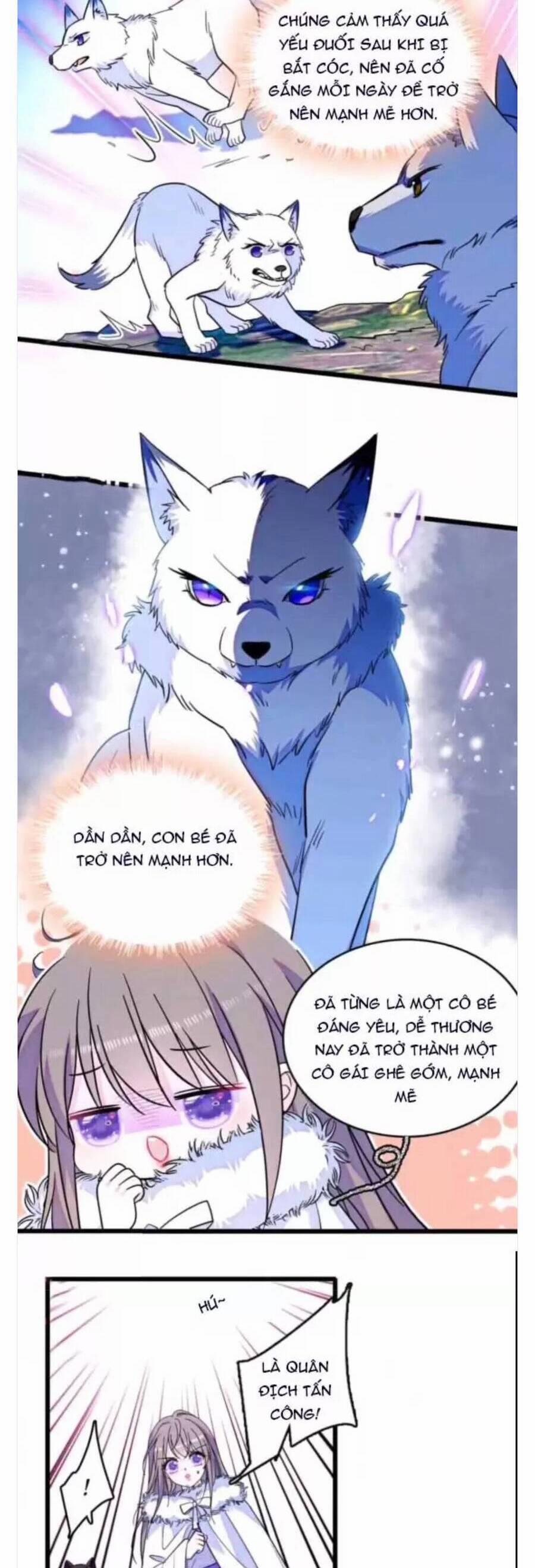 Phu Nhân , Thân Phận Thật Của Người Sắp Lộ Rồi 397 trang 4