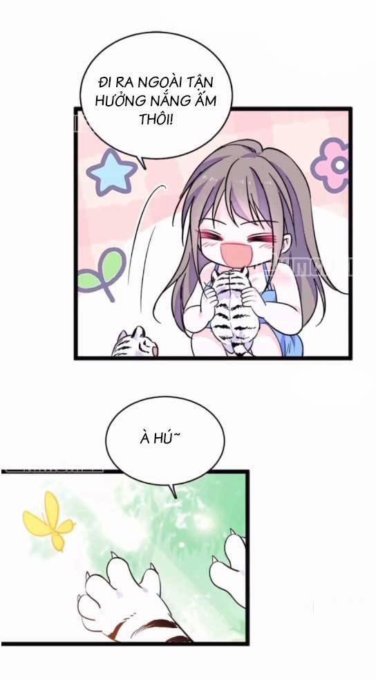 Phu Nhân , Thân Phận Thật Của Người Sắp Lộ Rồi 407 trang 10