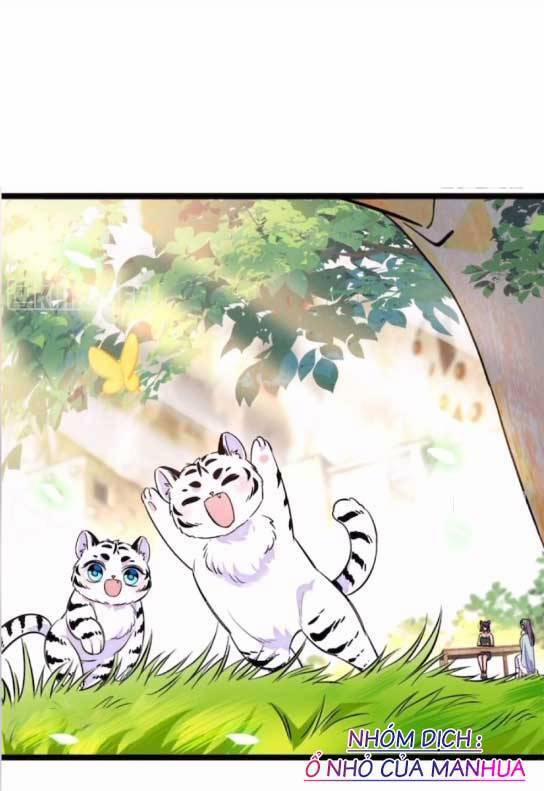 Phu Nhân , Thân Phận Thật Của Người Sắp Lộ Rồi 407 trang 11