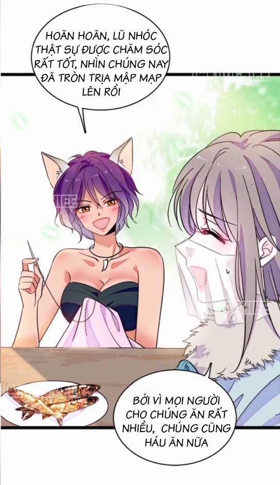 Phu Nhân , Thân Phận Thật Của Người Sắp Lộ Rồi 407 trang 12