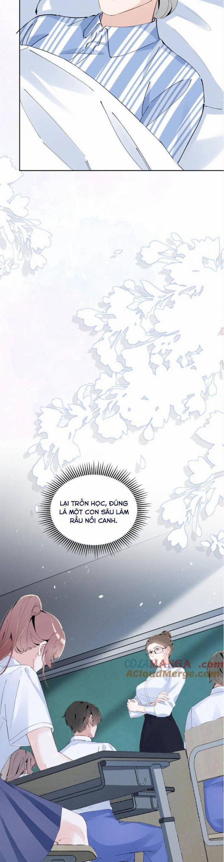 Phu Nhân , Thân Phận Thật Của Người Sắp Lộ Rồi 51 trang 14