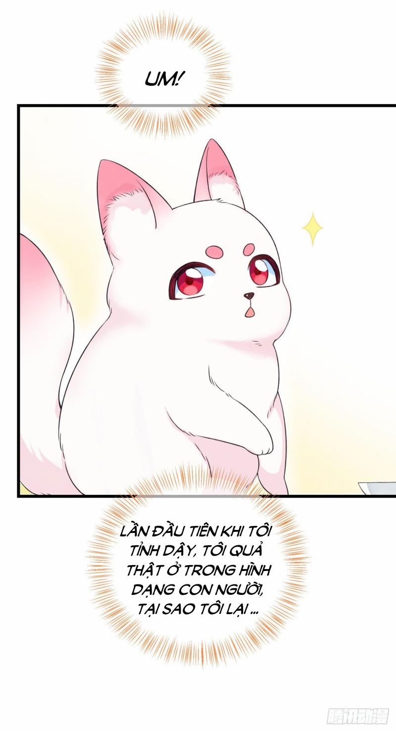 Phu Quân Đừng Giận 2 2 trang 9