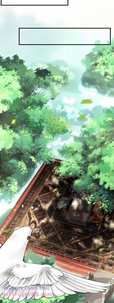 Phu Quân Ta Nuôi Từ Bé Muốn Thủ Tiêu Ta 20 trang 12