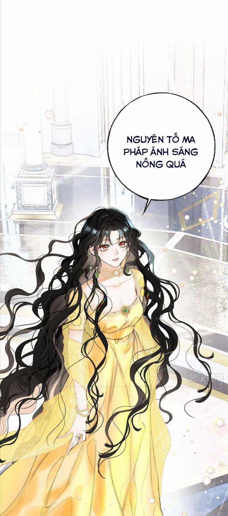 Phù Thuỷ Ác Độc Không Còn Lựa Chọn Nào Khác Ngoài Việc Trở Thành Ác Ma 12 trang 11