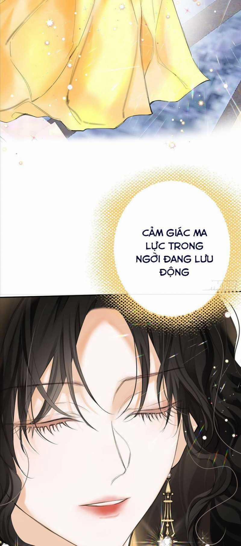 Phù Thuỷ Ác Độc Không Còn Lựa Chọn Nào Khác Ngoài Việc Trở Thành Ác Ma 12 trang 12