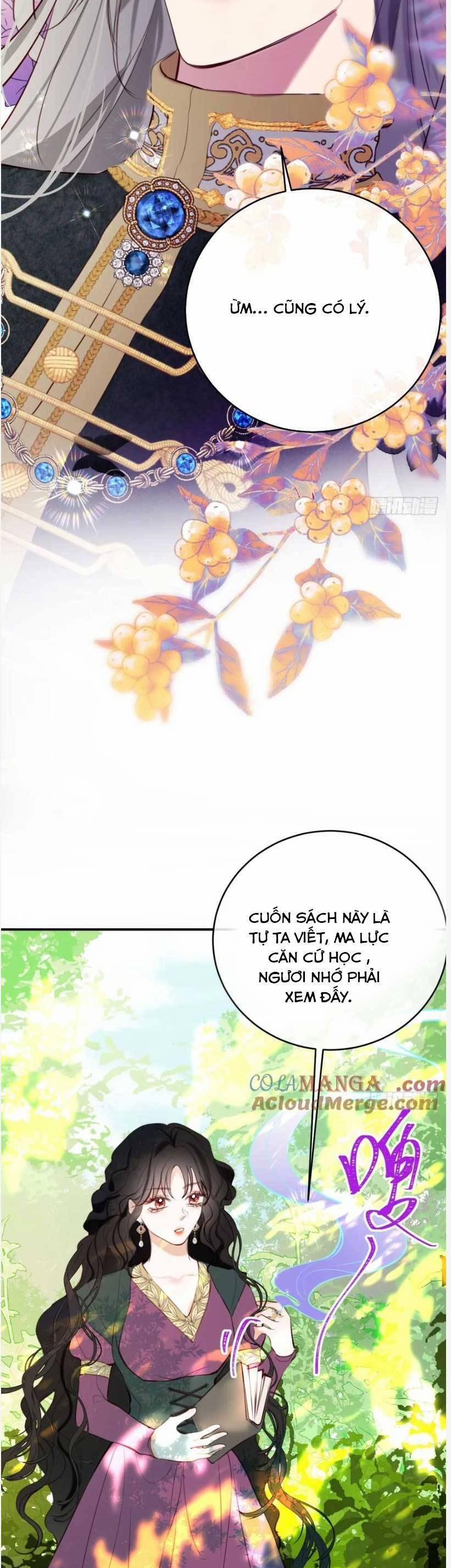 Phù Thuỷ Ác Độc Không Còn Lựa Chọn Nào Khác Ngoài Việc Trở Thành Ác Ma 25 trang 11