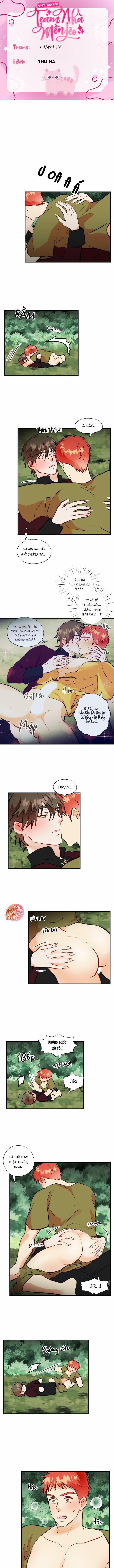 Phù Thủy Gợi Tình 33 trang 1