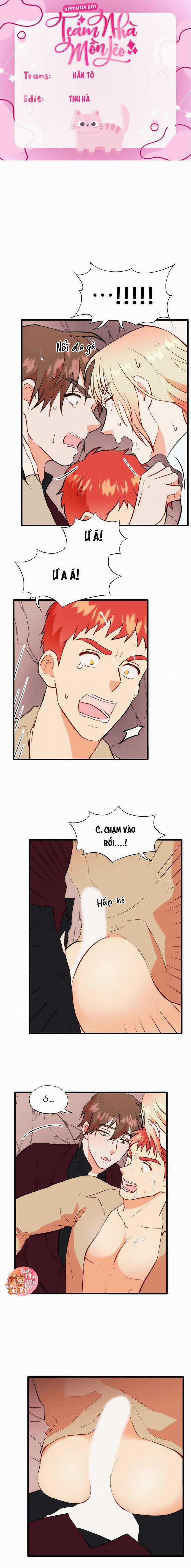 Phù Thủy Gợi Tình 48 trang 1