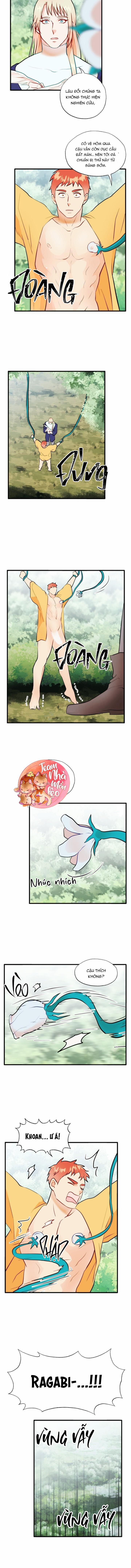 Phù Thủy Gợi Tình 62 trang 15