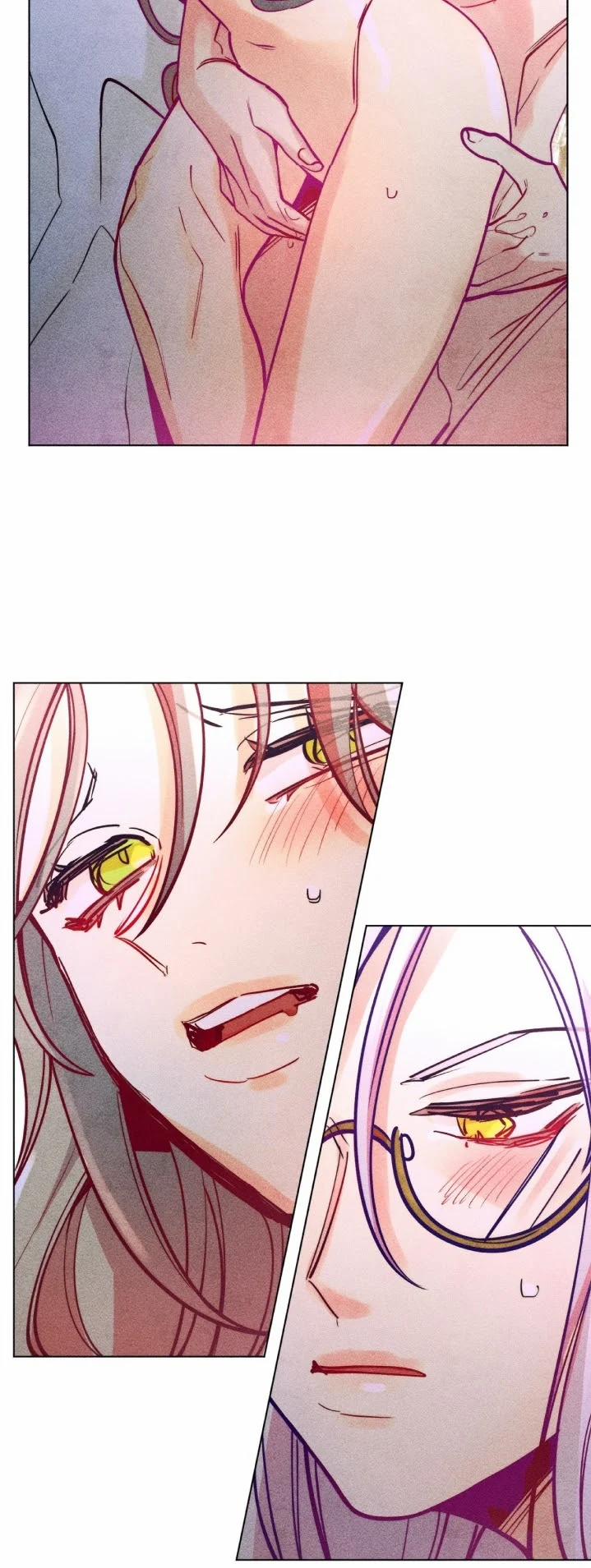 Phù Thuỷ Trinh Trắng Tuổi 30 48 trang 21