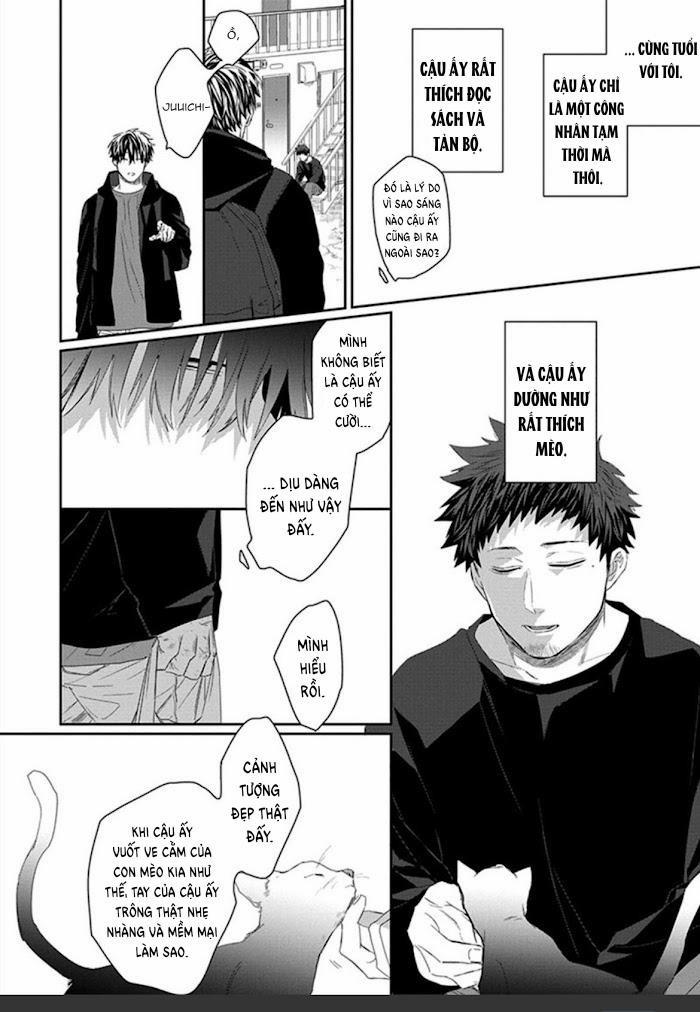 Phù Thủy Và Mèo 1 trang 20