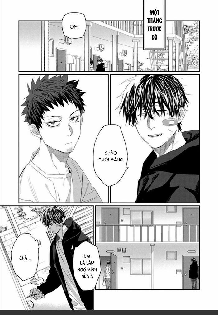 Phù Thủy Và Mèo 1 trang 7