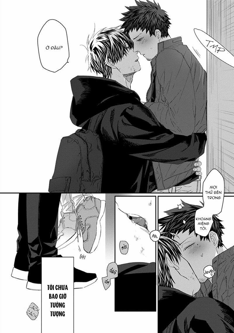 Phù Thủy Và Mèo 3 trang 41