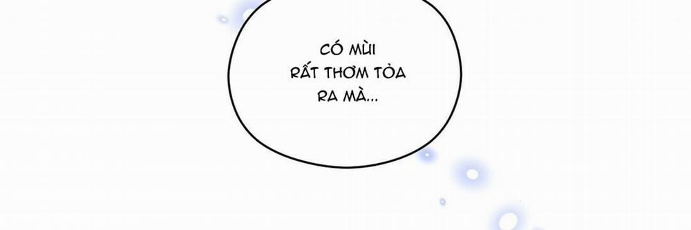 Phức Cảm Tự Ti Của Omega 12 trang 2