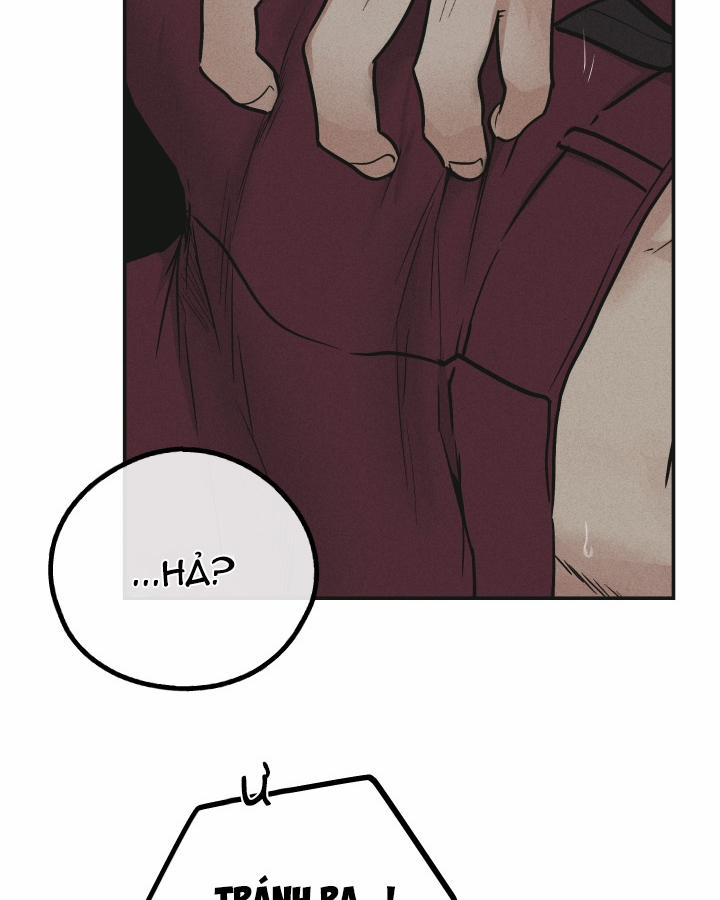 Phục Thù 32 trang 16