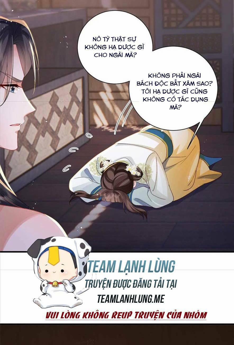 Phượng Hoàng Quy Hồi 10 trang 4