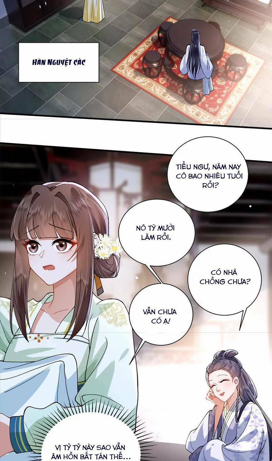 Phượng Hoàng Quy Hồi 11 trang 1