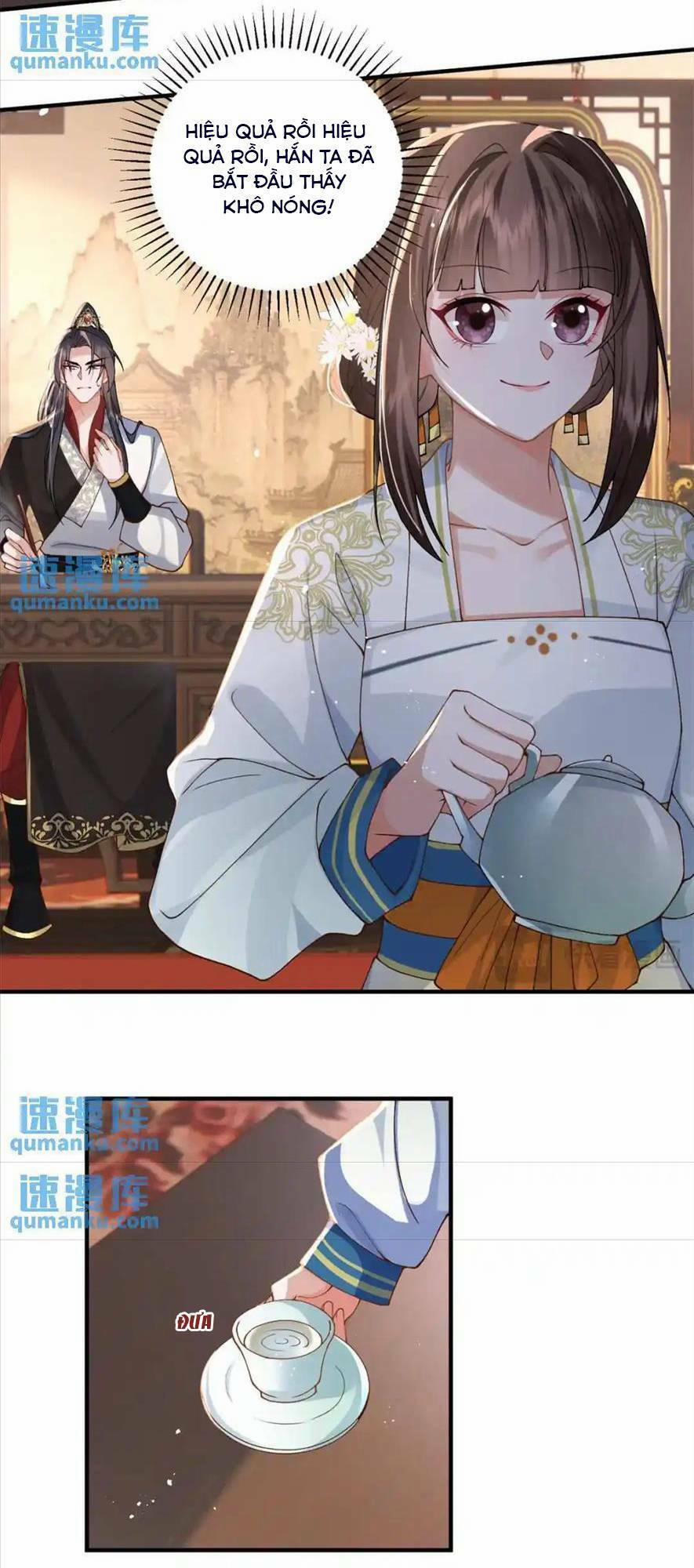 Phượng Hoàng Quy Hồi 13 trang 20