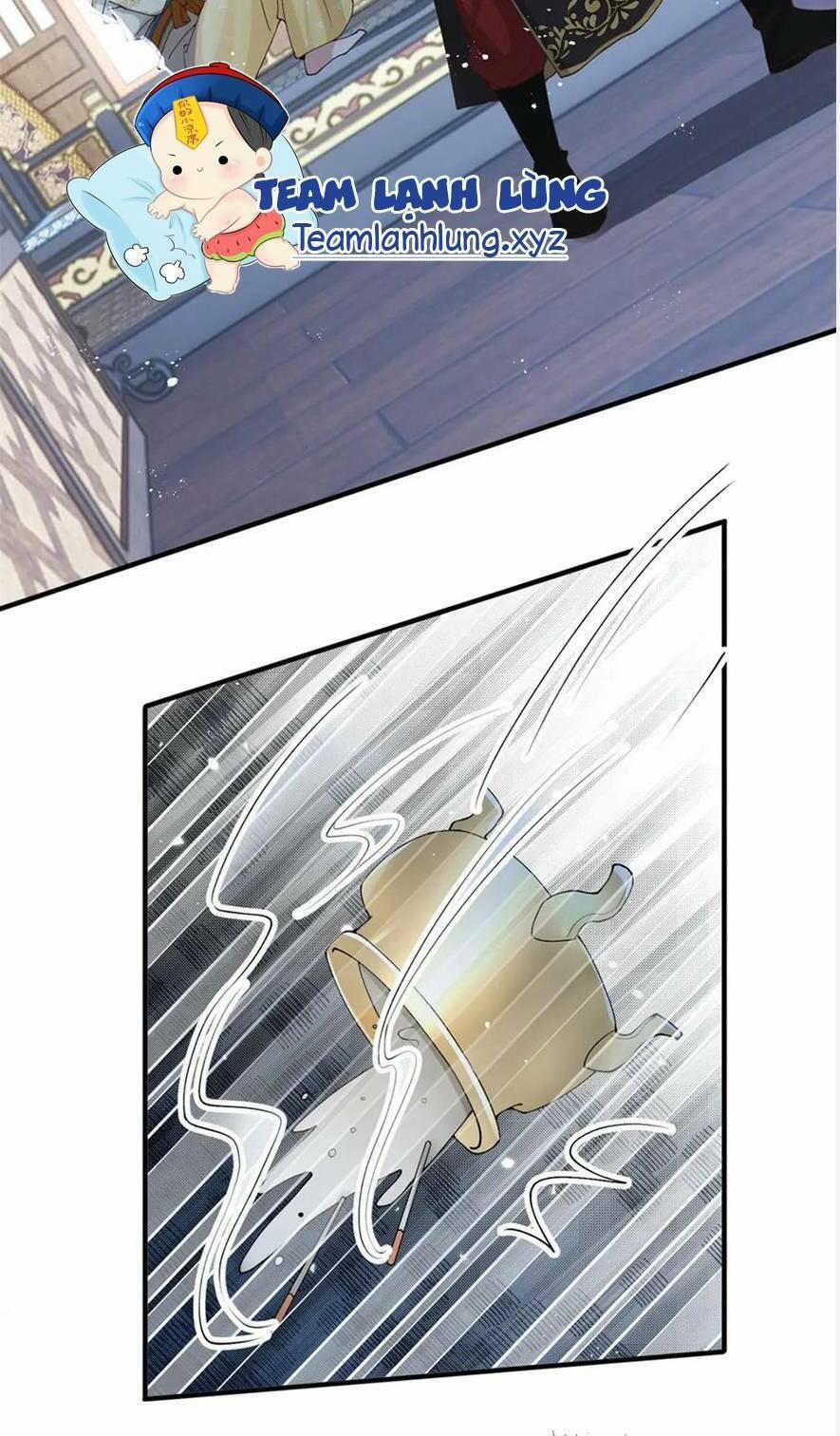 Phượng Hoàng Quy Hồi 14 trang 11