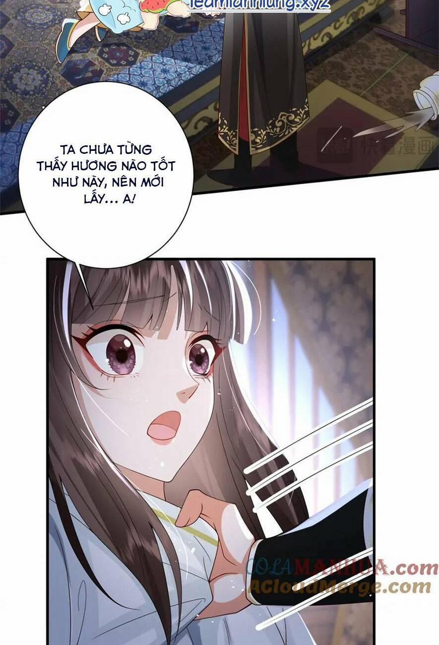 Phượng Hoàng Quy Hồi 14 trang 16