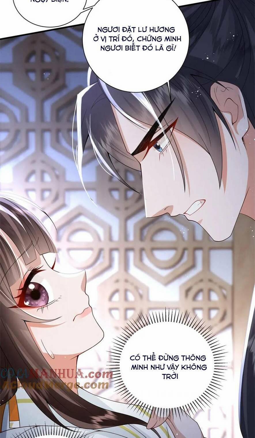 Phượng Hoàng Quy Hồi 14 trang 19