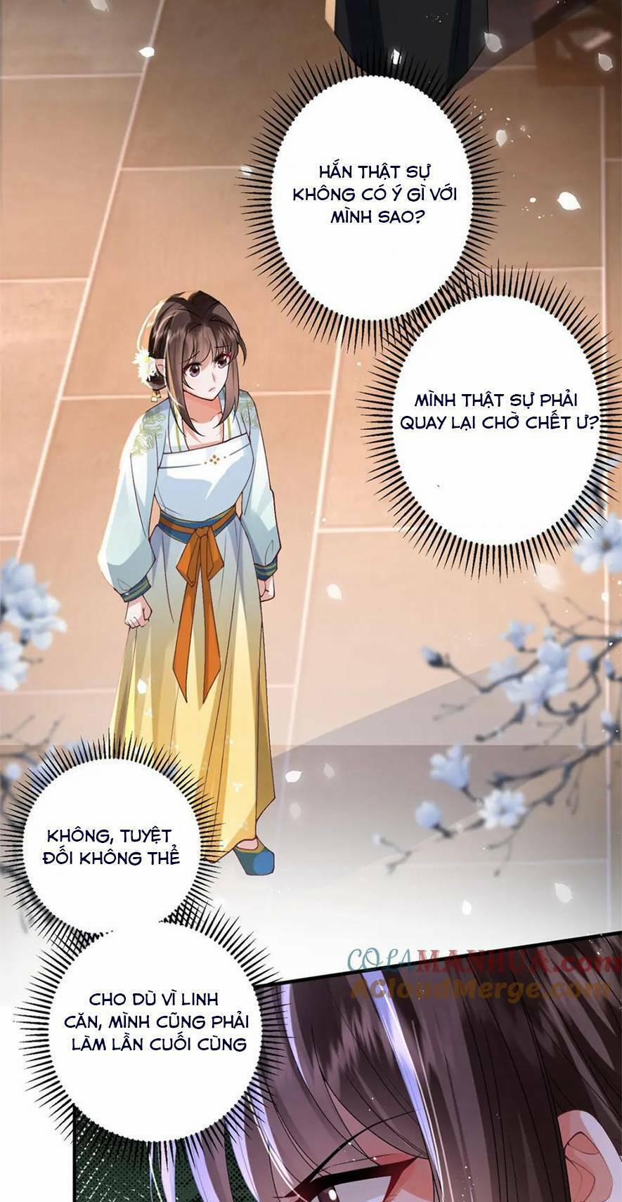 Phượng Hoàng Quy Hồi 16 trang 15