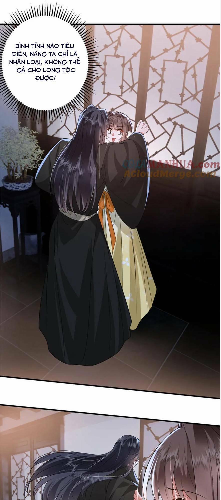 Phượng Hoàng Quy Hồi 16 trang 27